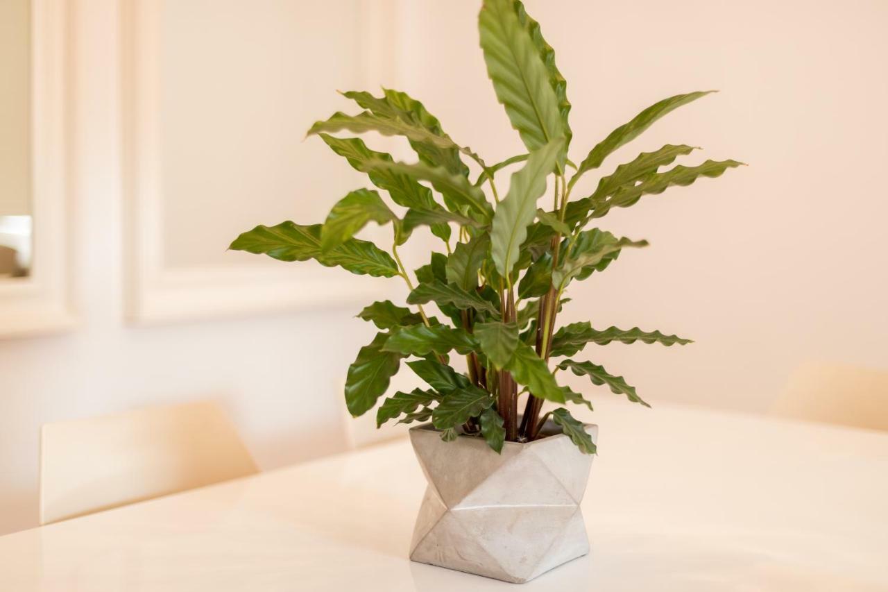 Alfama Modern Two-Bedroom Apartment W/ River View And Parking - By Lu Holidays Lisbon Luaran gambar